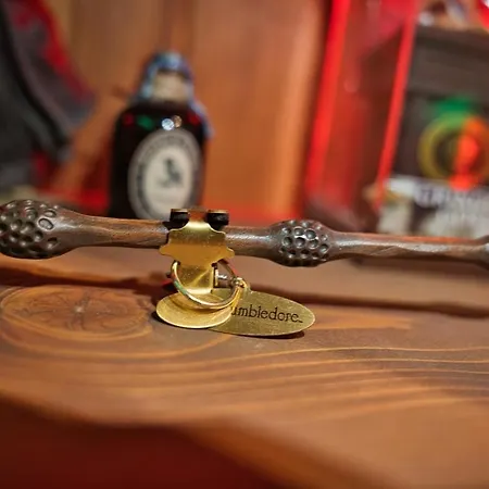 Appartement Chez Potter Escape Game, Secret Room, Ps5 Garage, Insolites