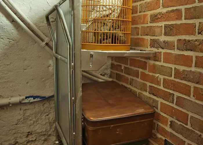 Chez Potter Escape Game, Secret Room, Ps5 Garage, Insolites Apartment