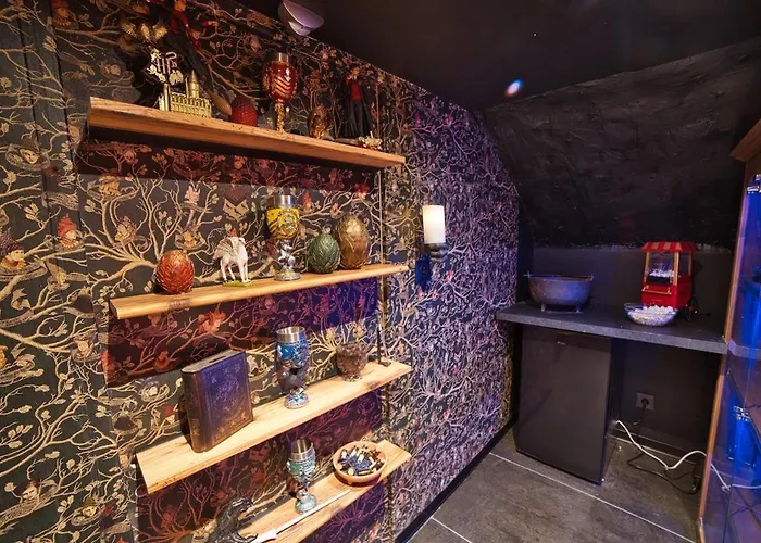 Chez Potter Escape Game, Secret Room, Ps5 Garage, Insolites Apartment Nancy